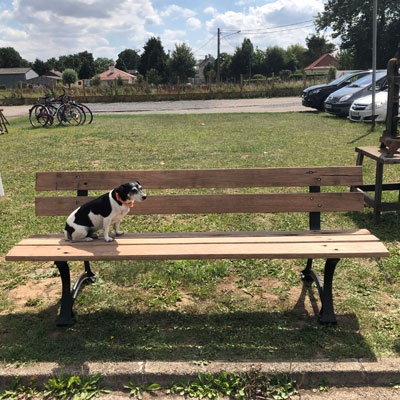 banc_ancien_bois_decape_metal