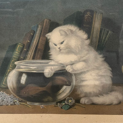 gravure_ancienne_chat_poissons